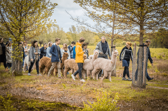 Alpacafarm-Hoofdfoto-verkleind